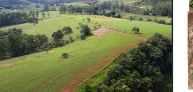 Fazenda / Sítio / Chácara com 4 Quartos à venda, 242000m² no Centro, Silvianópolis - Foto 10