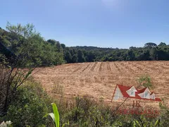 Fazenda / Sítio / Chácara com 1 Quarto à venda, 119000m² no Tietê, Araucária - Foto 2