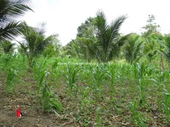 Fazenda / Sítio / Chácara com 4 Quartos à venda, 183000m² no Zona Rural, Rio Bonito - Foto 19