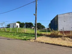 Terreno / Lote Comercial à venda, 343m² no Jardim Everest, Maringá - Foto 4