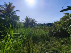 Fazenda / Sítio / Chácara com 2 Quartos à venda, 100000m² no Zona Rural, Glória do Goitá - Foto 9