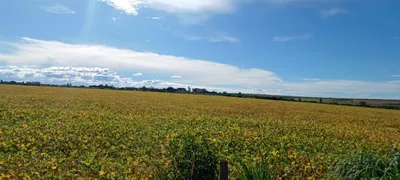 Fazenda / Sítio / Chácara à venda, 195400m² no Paranoá, Brasília - Foto 4