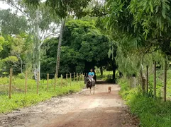 Fazenda / Sítio / Chácara à venda, 1000m² no Ravena, Sabará - Foto 3