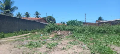 Terreno / Lote / Condomínio à venda, 200m² no Zona Rural, Nísia Floresta - Foto 6
