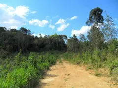 Terreno / Lote / Condomínio à venda, 48400m² no Areia Branca dos Assis, Mandirituba - Foto 6