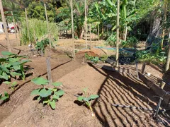 Fazenda / Sítio / Chácara com 3 Quartos à venda, 5000m² no Comunidade Urbana de Rio Grande, Guarapari - Foto 16