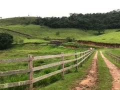 Fazenda / Sítio / Chácara com 8 Quartos à venda, 340000m² no Secretário, Petrópolis - Foto 34