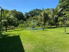 Fazenda / Sítio / Chácara com 2 Quartos à venda, 500m² no Tartaruga, Guarapari - Foto 33