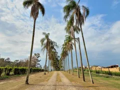 Terreno / Lote / Condomínio à venda, 20395m² no Jardim Martinelli, Campinas - Foto 2