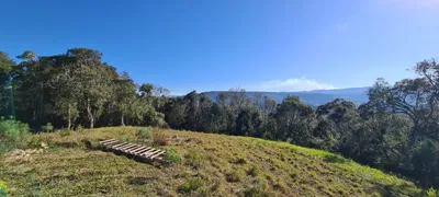 Casa com 4 Quartos à venda, 197m² no Vargedo, Rancho Queimado - Foto 6