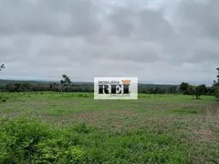 Fazenda / Sítio / Chácara com 3 Quartos à venda, 150m² no Zona Rural, São Valério da Natividade - Foto 2