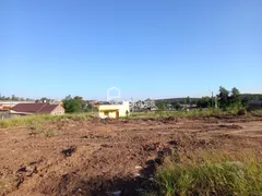 Terreno / Lote / Condomínio para alugar, 300m² no Boa Vista, São Leopoldo - Foto 3