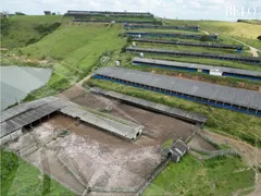 Fazenda / Sítio / Chácara à venda, 2800000m² no Area Rural de Vitoria do Santo Antao, Vitória de Santo Antão - Foto 3