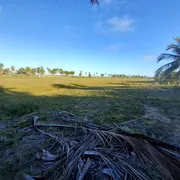 Fazenda / Sítio / Chácara à venda, 100000m² no Mangue Seco, Jandaíra - Foto 3