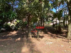 Terreno / Lote / Condomínio à venda, 1614m² no Valinhos, Valinhos - Foto 23