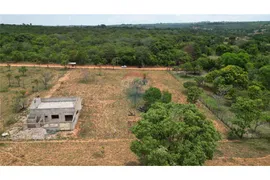 Fazenda / Sítio / Chácara com 4 Quartos à venda, 15000m² no Centro, Cidade Ocidental - Foto 5