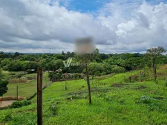 Fazenda / Sítio / Chácara com 3 Quartos à venda, 180m² no Chácara Santa Margarida, Campinas - Foto 1