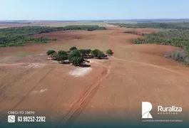 Fazenda / Sítio / Chácara à venda, 500m² no Zona Rural, Porto Nacional - Foto 10