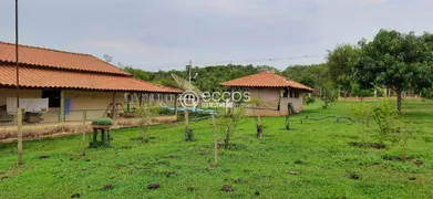 Fazenda / Sítio / Chácara com 3 Quartos à venda, 7500m² no Chácaras Eldorado, Uberlândia - Foto 10