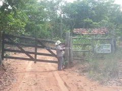 Fazenda / Sítio / Chácara com 1 Quarto à venda, 80000000m² no Zona Rural, Itiquira - Foto 43