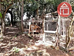 Fazenda / Sítio / Chácara com 4 Quartos à venda, 330m² no Guaripocaba, Bragança Paulista - Foto 36