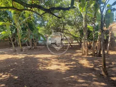 Fazenda / Sítio / Chácara com 2 Quartos à venda, 250m² no Jardim Salgado Filho, Ribeirão Preto - Foto 8