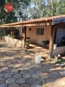 Fazenda / Sítio / Chácara com 4 Quartos à venda, 250m² no Zona Rural, Altinópolis - Foto 4