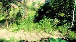 Fazenda / Sítio / Chácara com 40 Quartos à venda, 2000m² no Tijuco Preto, Caçapava - Foto 3