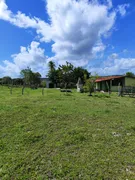 Fazenda / Sítio / Chácara com 3 Quartos à venda, 5000m² no Zona Rural, Monte Alegre - Foto 7