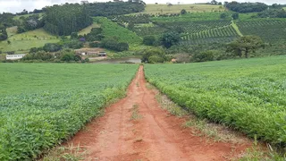 Fazenda / Sítio / Chácara à venda, 1974720m² no Centro, Silvianópolis - Foto 16