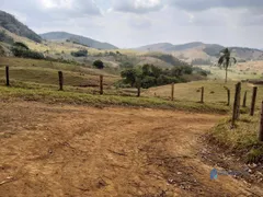 Fazenda / Sítio / Chácara à venda, 1390000m² no Taruacu, São João Nepomuceno - Foto 5