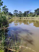 Fazenda / Sítio / Chácara à venda, 135176m² no Chacaras Bom Retiro, Goiânia - Foto 23