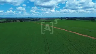 Fazenda / Sítio / Chácara à venda, 1140000m² no Zona Rural, Perdizes - Foto 6