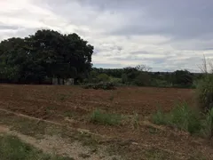 Fazenda / Sítio / Chácara com 3 Quartos à venda, 9500m² no Area Rural de Ceilandia, Brasília - Foto 1