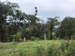 Casa Comercial à venda, 100000m² no Serra Alta, São Bento do Sul - Foto 11