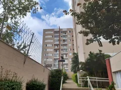 Apartamento com 3 Quartos à venda, 72m² no Rio Pequeno, São Paulo - Foto 1