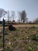 Terreno / Lote / Condomínio à venda, 500m² no Pau Queimado, Piracicaba - Foto 4