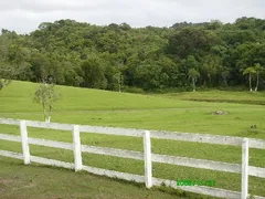 Fazenda / Sítio / Chácara com 2 Quartos à venda, 420m² no 4 Km do Centro, Embu-Guaçu - Foto 16