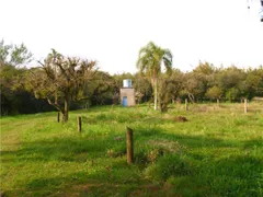 Fazenda / Sítio / Chácara com 7 Quartos à venda, 430m² no Estancia Grande, Viamão - Foto 14