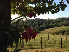 Fazenda / Sítio / Chácara com 3 Quartos à venda, 500m² no Zona Rural, Guareí - Foto 8