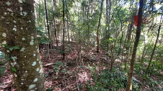 Terreno / Lote / Condomínio à venda, 1000m² no Planalto Verde, São Roque - Foto 8