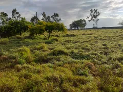 Fazenda / Sítio / Chácara com 3 Quartos à venda, 4600m² no Zona Rural, Monte Alegre - Foto 14