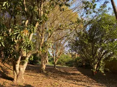 Casa com 5 Quartos para venda ou aluguel, 1000m² no Vila Santo Antônio, Cotia - Foto 15