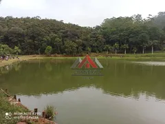 Terreno / Lote Comercial à venda, 503000m² no Chacara Sao Lucido, Mauá - Foto 43