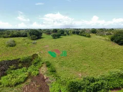 Fazenda / Sítio / Chácara com 3 Quartos à venda, 100m² no Centro, Alagoa Nova - Foto 4