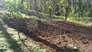 Fazenda / Sítio / Chácara com 2 Quartos à venda, 60m² no Zona Rural, Campo Alegre - Foto 9