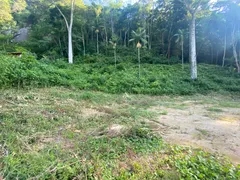 Terreno / Lote / Condomínio com 1 Quarto à venda, 1500m² no Cônego, Nova Friburgo - Foto 8