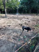 Fazenda / Sítio / Chácara à venda no Zona Rural, Urucuia - Foto 20