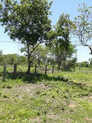 Fazenda / Sítio / Chácara com 2 Quartos à venda, 180m² no Zona Rural, Rosário Oeste - Foto 1