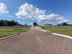 Terreno / Lote / Condomínio à venda, 2500m² no Park Way , Brasília - Foto 2